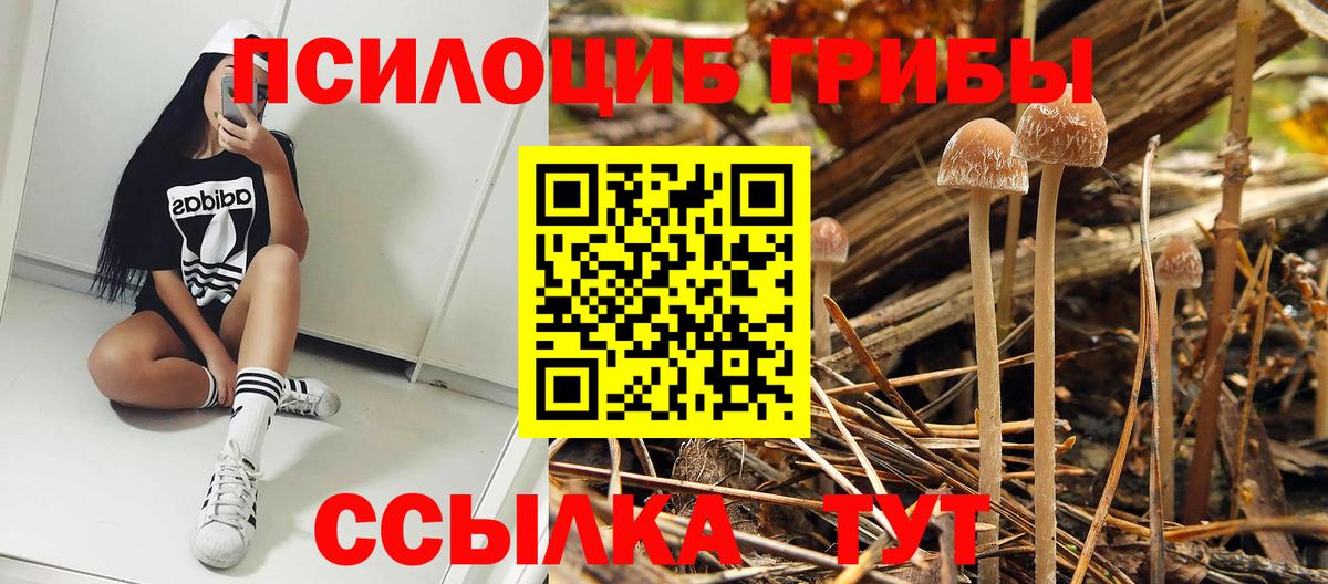 Галлюциногенные грибы Magic Shrooms Тавда