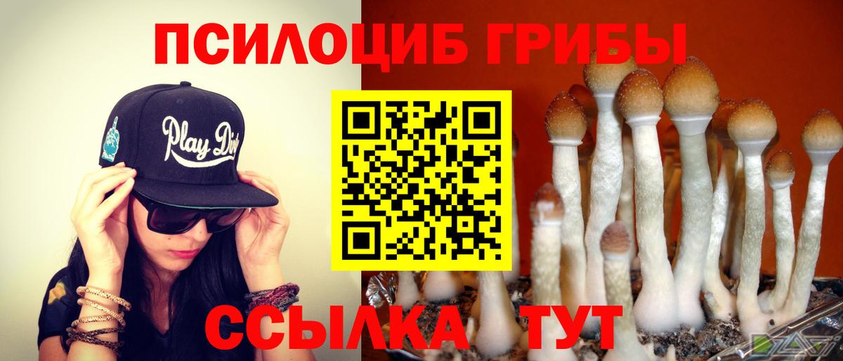 Псилоцибиновые грибы Psilocybine cubensis  Вход с VPN  Тавда 